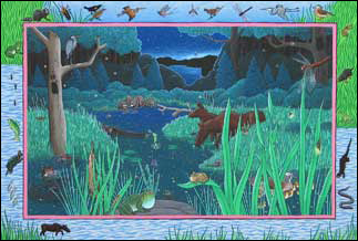 Wetland at night illustration from Before & After