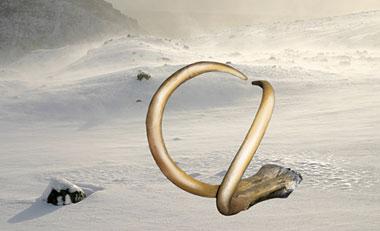 Step-by-step #4 for photo-illustration