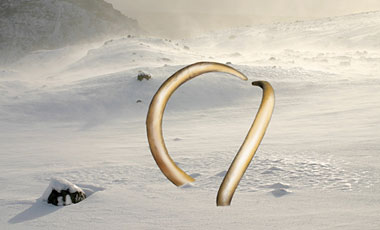 Step-by-step #5 for photo-illustration