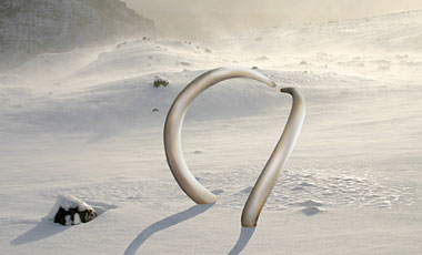 Step-by-step #6 for photo-illustration