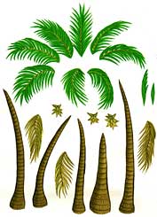Palm tree pieces from The Rumor